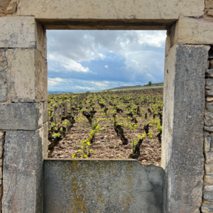 Burgundy, France: Dijon & Beaune Destination Guide