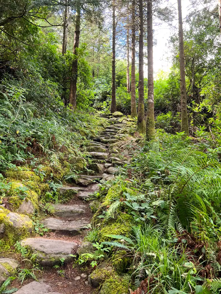 Cardiac hill, part of a Torc Mountain hike in Killarney. 