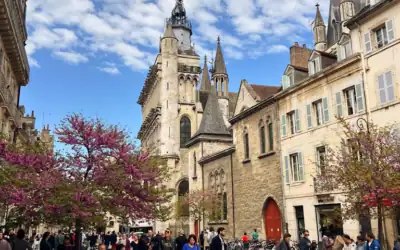 Dijon’s Owl Trail: A Self-Guided Walking Route Through the Old Town