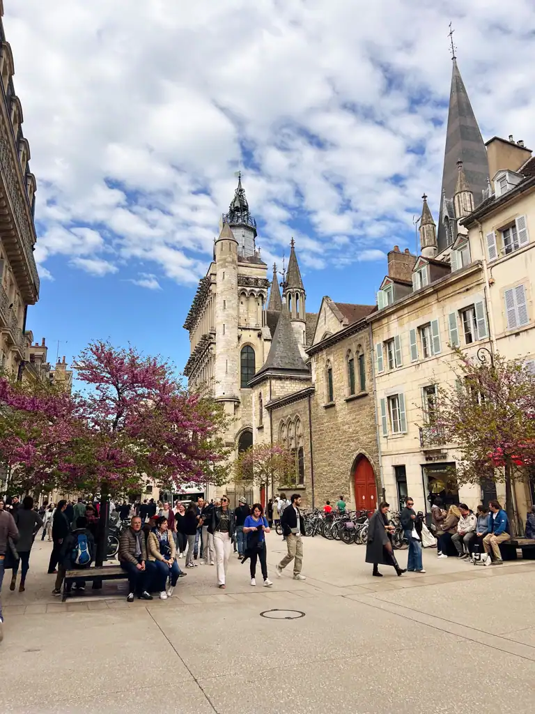 A pretty square in Dijon France, with historical buildings surrounding and a couple of trees. 