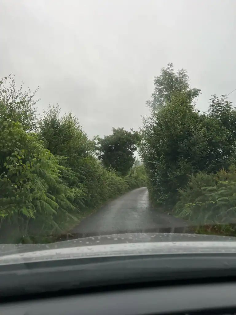 View from the car of a Rainy, very narrow, bush and tree lined road in Ireland. 