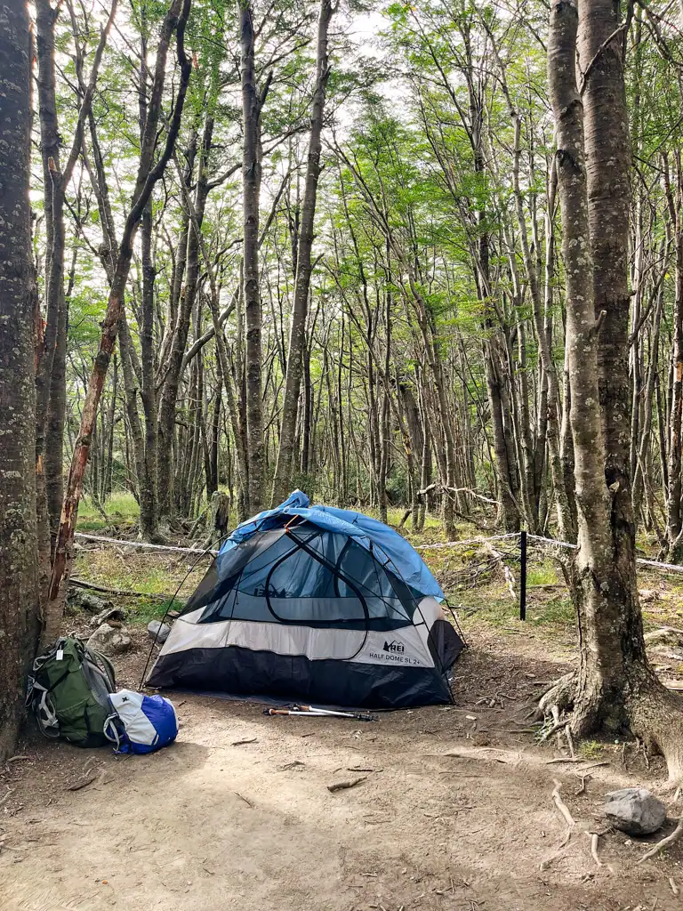 a tent set up in the forest on the patagonia w-trek packing list. 