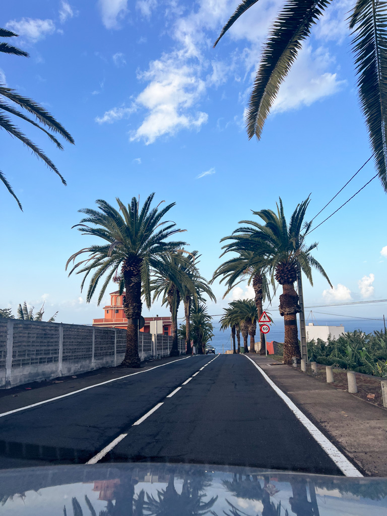 View of a road from the rental car with palm trees and blue skies.