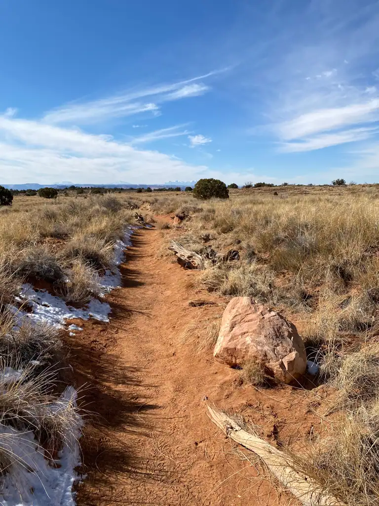 A trail with a little bit of snow on the edges. 