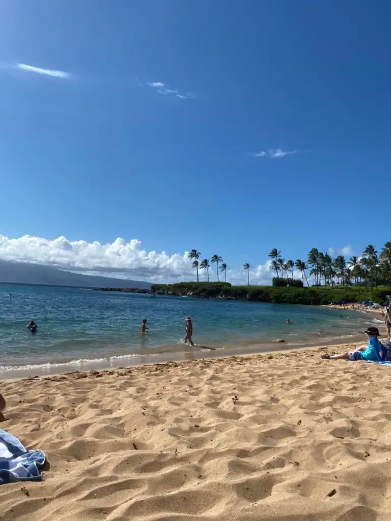 A sandy beach with scattered people and palm trees in the background  at one of the 5 amazing beaches in Maui. 