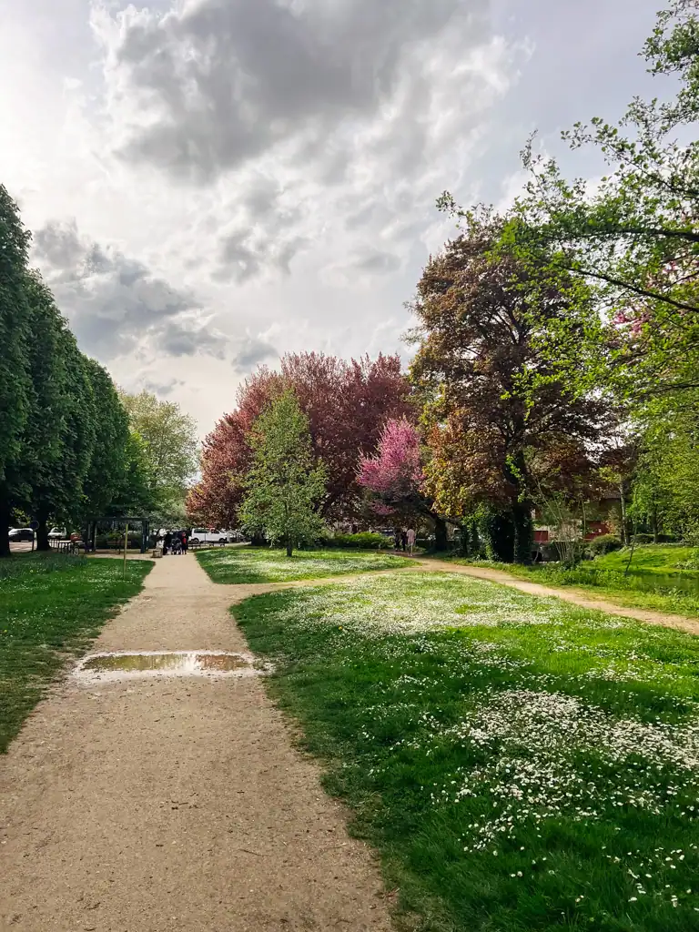 A gravel country lane with beautiful colorful trees in the background. 