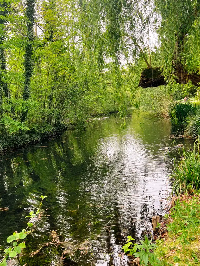 A small stream running through a green park in Burgundy. 