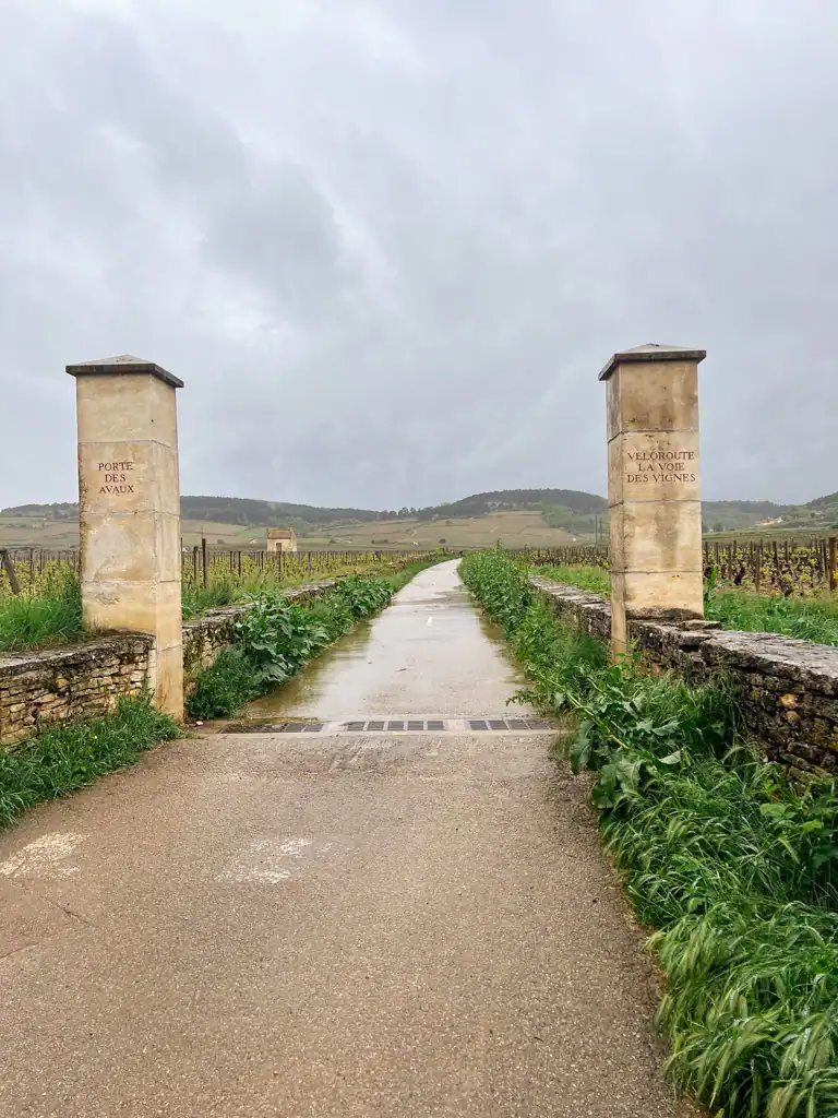 A rainy day in Burgundy looking at two stone pillars that start the voie des vignes pathway. 