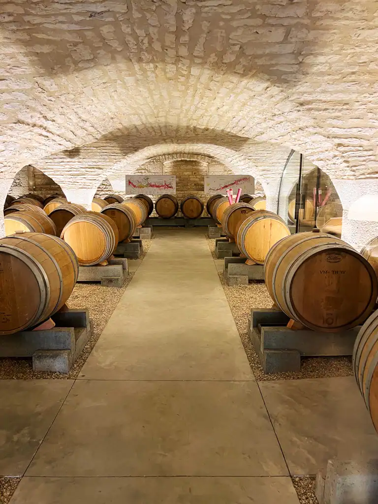A large white brick wine cave with oak barrels situated around it on a burgundy wine tour. 