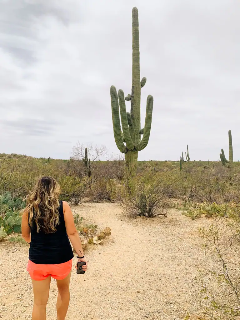 A girl walking toward a large cactus. 