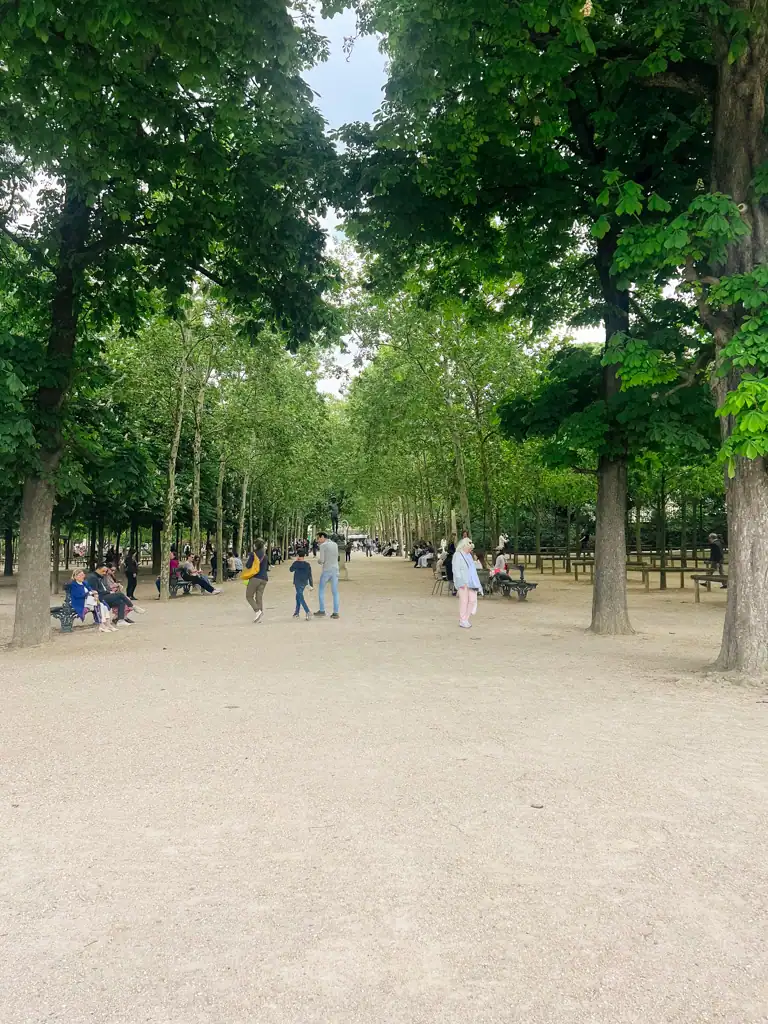 A tree lined, gravel walkway in the luxembourg gardens. 
