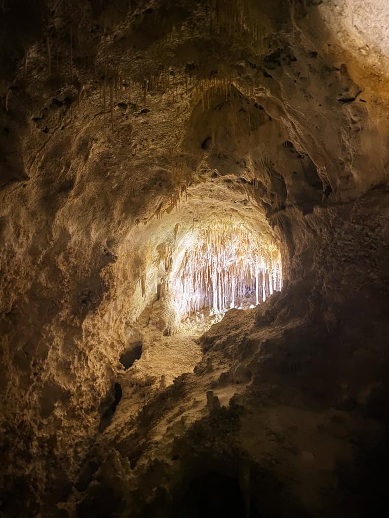A dark cave with a light entrance in Carlsbad Caverns. 