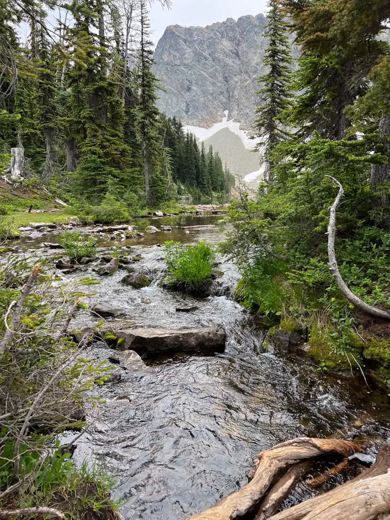 A stream with mountains in the distance at North Cascades National Park.