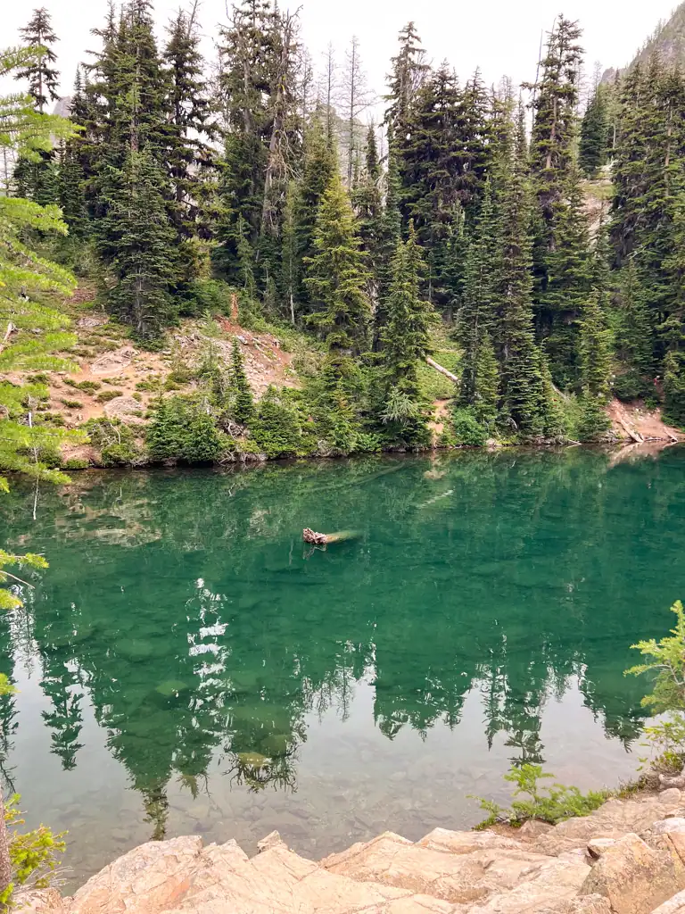 A clear green/blue lake surrounded by evergreen trees.