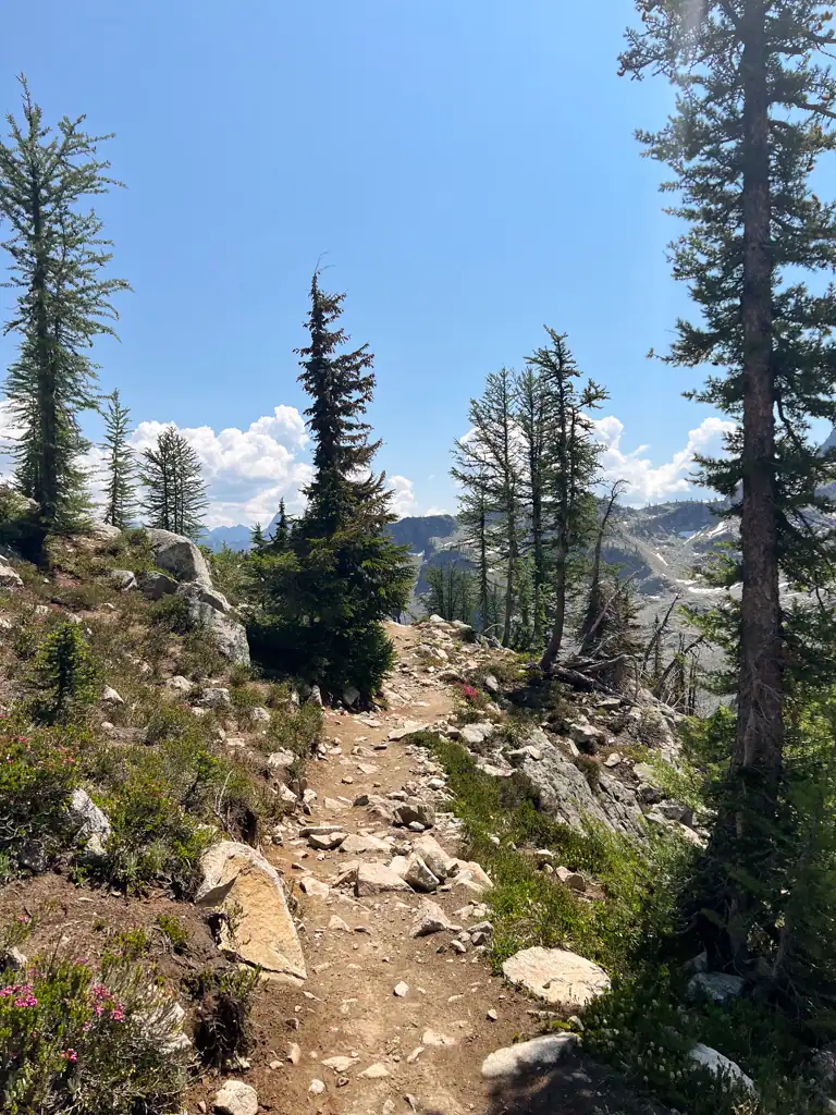 A dirt mountain trail with rocks and trees.
