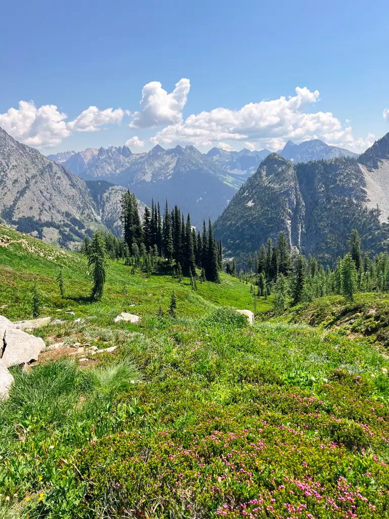 View of the Cascade Mountains, green grass and trees at North Cascades National Park.