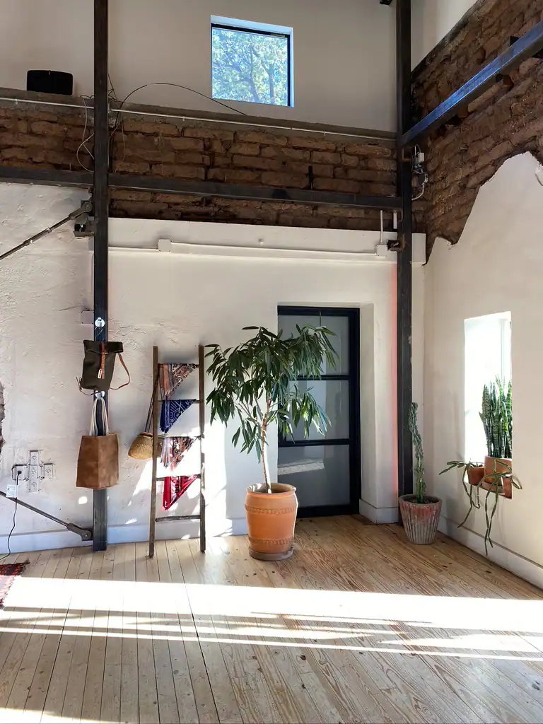 An exposed brick wall and black industrial piping in a shop with bandanas a large plant. 