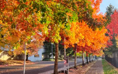 Portland Travel Guide: 10 Things Worth Doing on Your First Visit