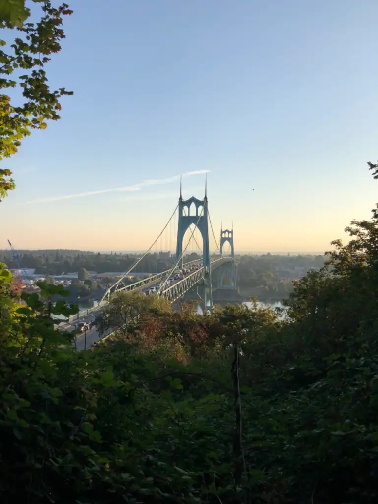 Cathedral bridge as the sun is rising with trees in the foreground. 