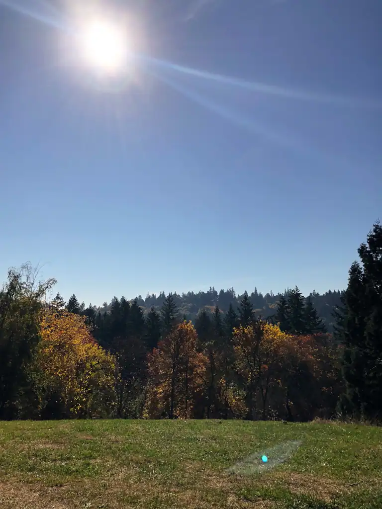 A grassy expanse with fall trees in the background and the sun shining in the corner. 