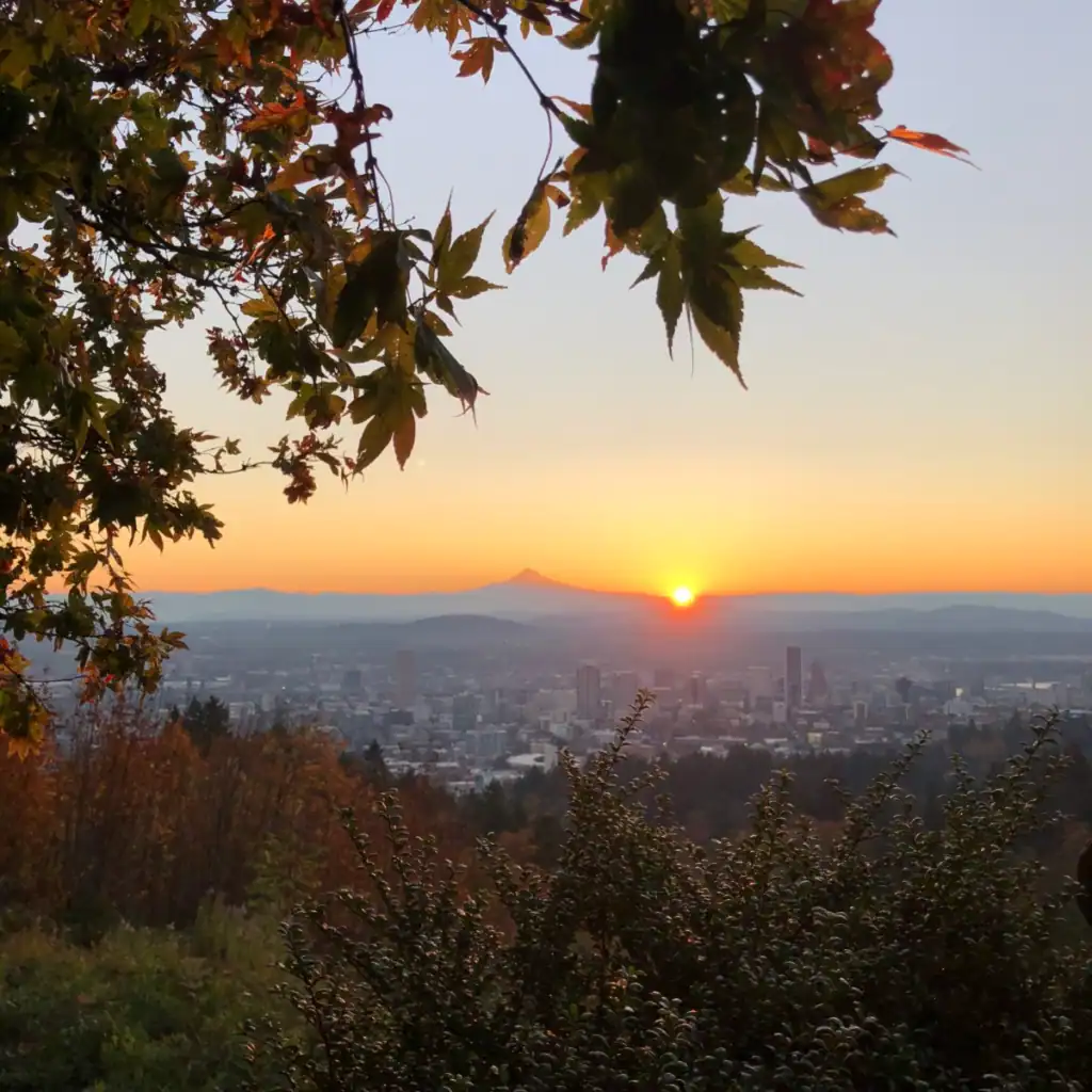 Sunrise over mount hood with trees in the foreground and the city lit up in a guide to portland's forest park. 