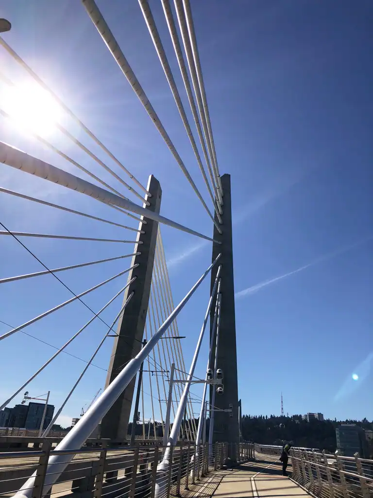 Long white towers and anchors of the Tilikum crossing bridge in Portland. 