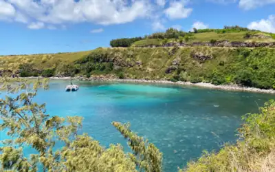 Check Out These 5 Amazing Beaches in Maui