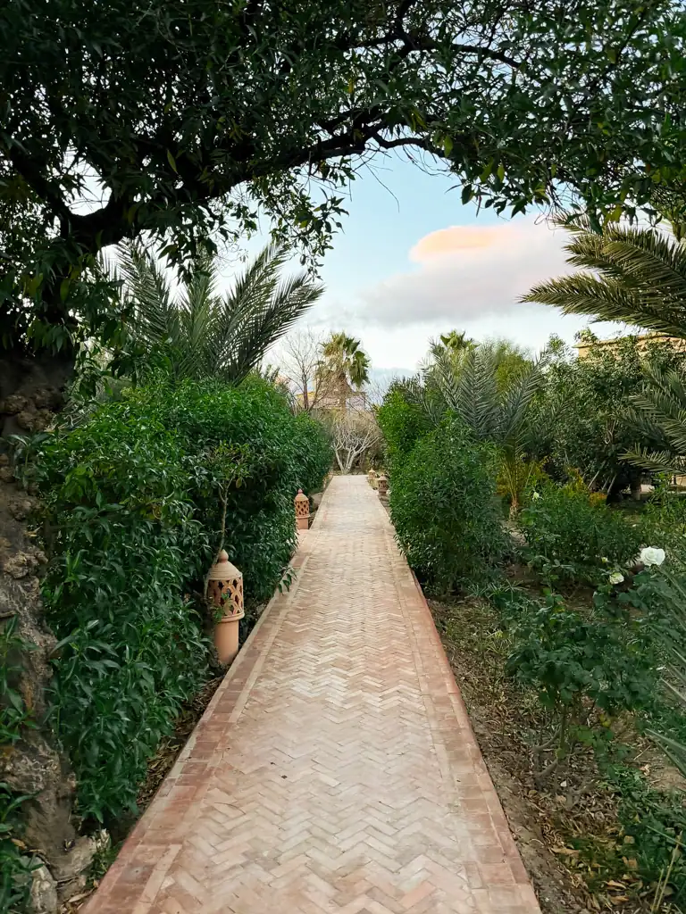 a stone path lined with green trees and bushes.