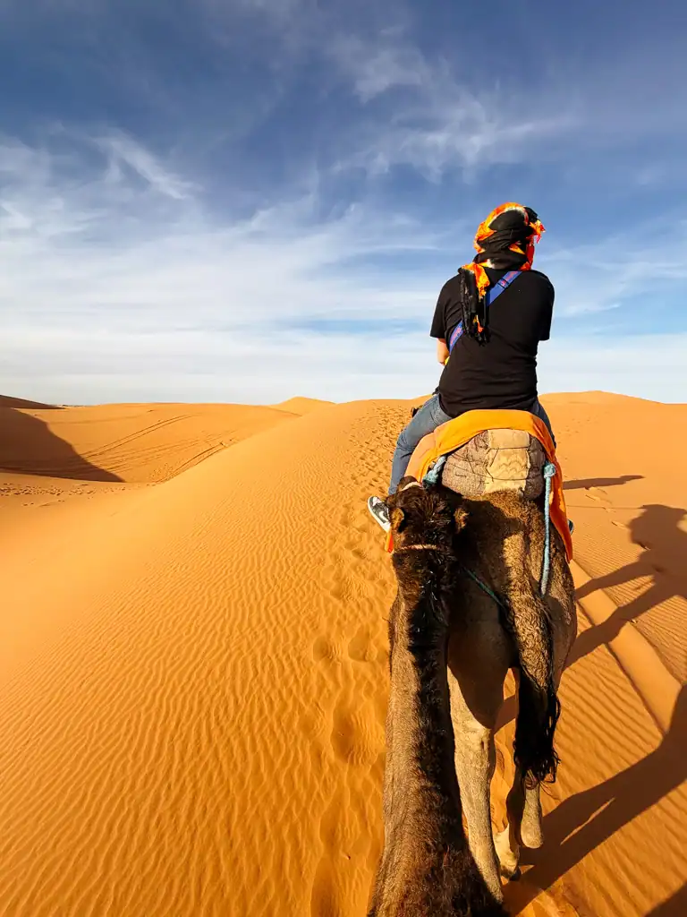 man in a black shirt sits on a camel walking through the sahara desert.