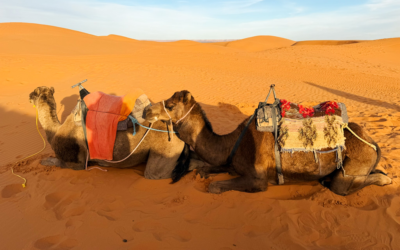 Morocco: What to Know Before You Go