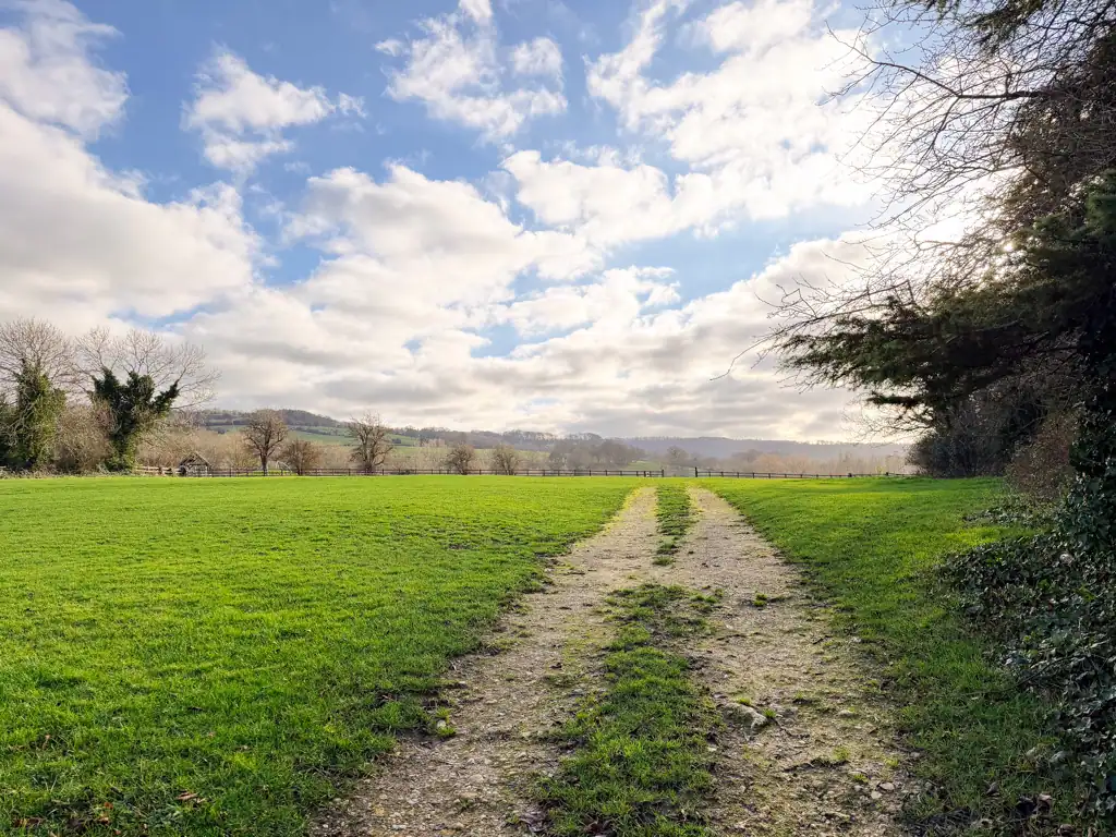 A gravel path with a large grassy field around it. 