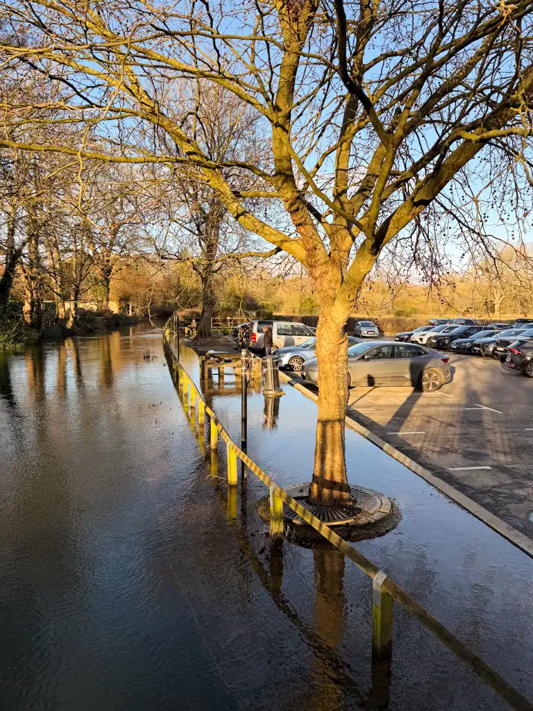 A river running alongside a parking lot. 
